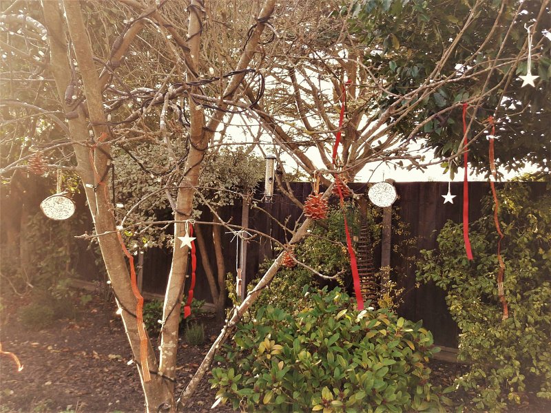 Tree Dressing